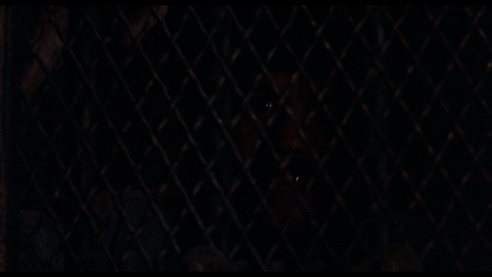 fedfygeogrfoe002.png