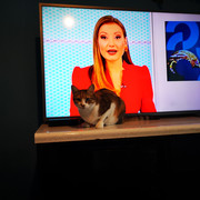 IMG-20211121-073010