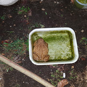 https://i.ibb.co/TmW2pG8/20200809-045720.jpg