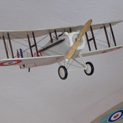 DSCN0616