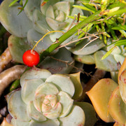 IMG-3748