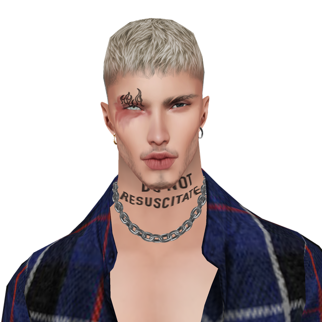 hi-Res-No-Bg47.png