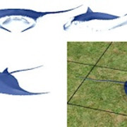 Manta-Ray