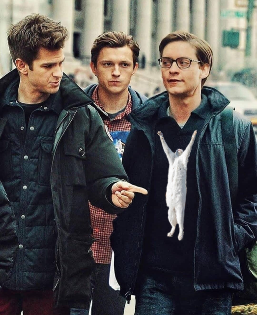cat-Shirt-Spidey.png