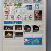IMG-9202