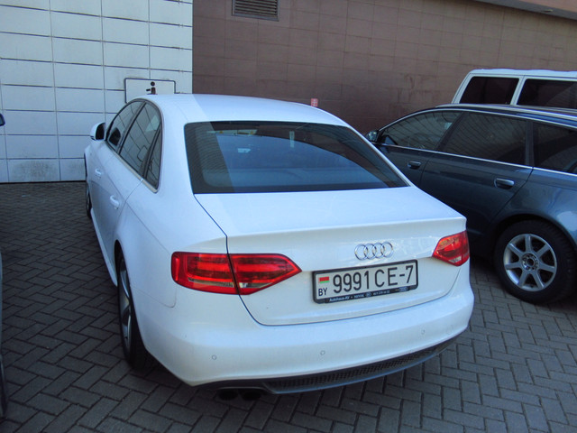IMG-0247.jpg
