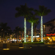 DSCF9080