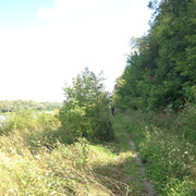 IMG-4127