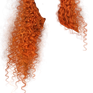 IMG 8781.png