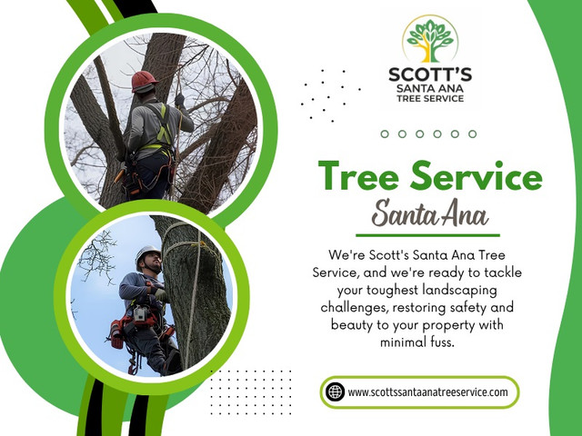 Professionals offering Tree service Santa Ana usually point out that storm damage is rarely isolated. If one tree has failed, others in the area may also be stressed. A lot of people think, “It’s just a tree, I’ll clear it later.” But storm-damaged trees behave differently from regular yard debris.

Scott's Santa Ana Tree Service

Address - 215 S Main St #2, Santa Ana, CA 92701, US
Phone No - +16572758079
Find Us On Google Maps- https://maps.app.goo.gl/rX5G2U69gW6rg6Zo8

Read Our Blogs:
https://medium.com/@scottssantaanatreeservice
https://blogfreely.net/scottssantaanatreeservice/
https://scottssantaanatreeservice.mystrikingly.com/

More Links:
https://campsite.bio/scottssantaanatreeservice
https://www.anibookmark.com/user/arboristsantaana.html
https://independent.academia.edu/scottssantaanatreeservice