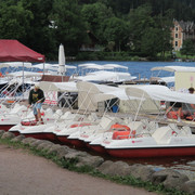 IMG 3677