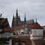 DSC 3152