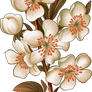 d932034d4cf7b1eabb586dcc0fe2d7f2
