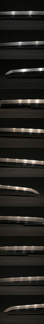 DSC6130.jpg