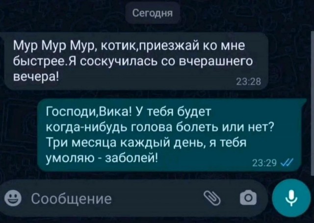 19096444.jpg