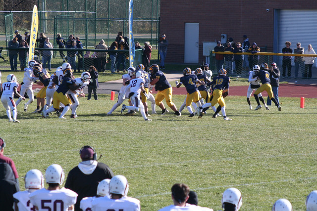 IMG-2898.jpg