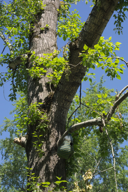 DSC3866.jpg