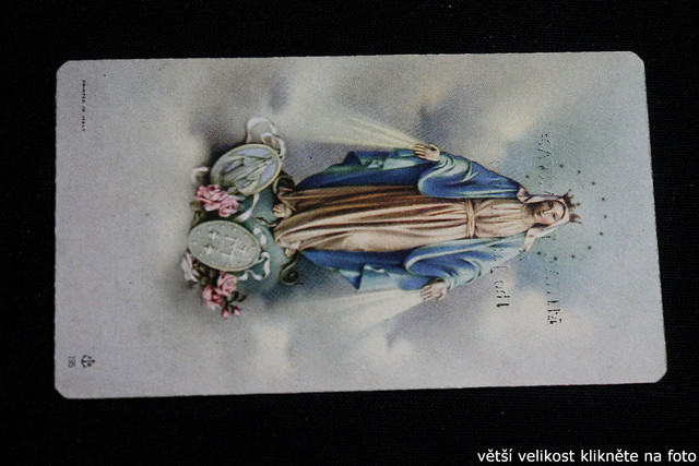 IMG-6982