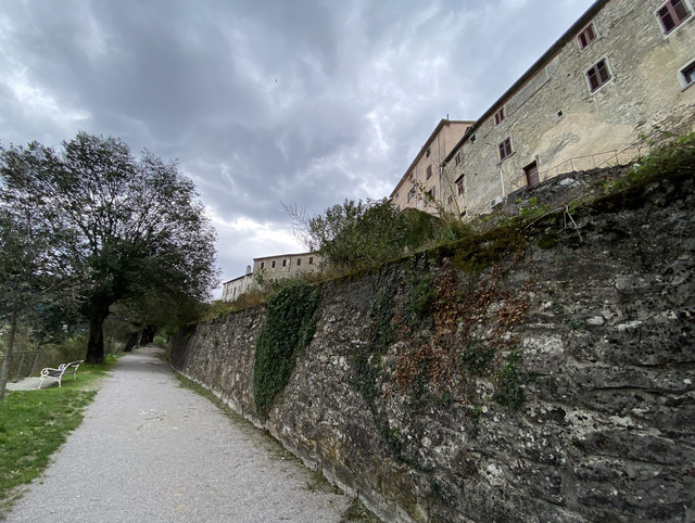 IMG-2233.jpg