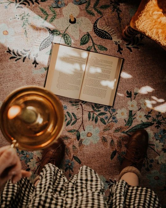 tumblr-e73c7b14acde62cd6814e818c29c9c6b-6c964195-540