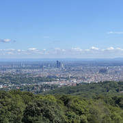 IMG-2370