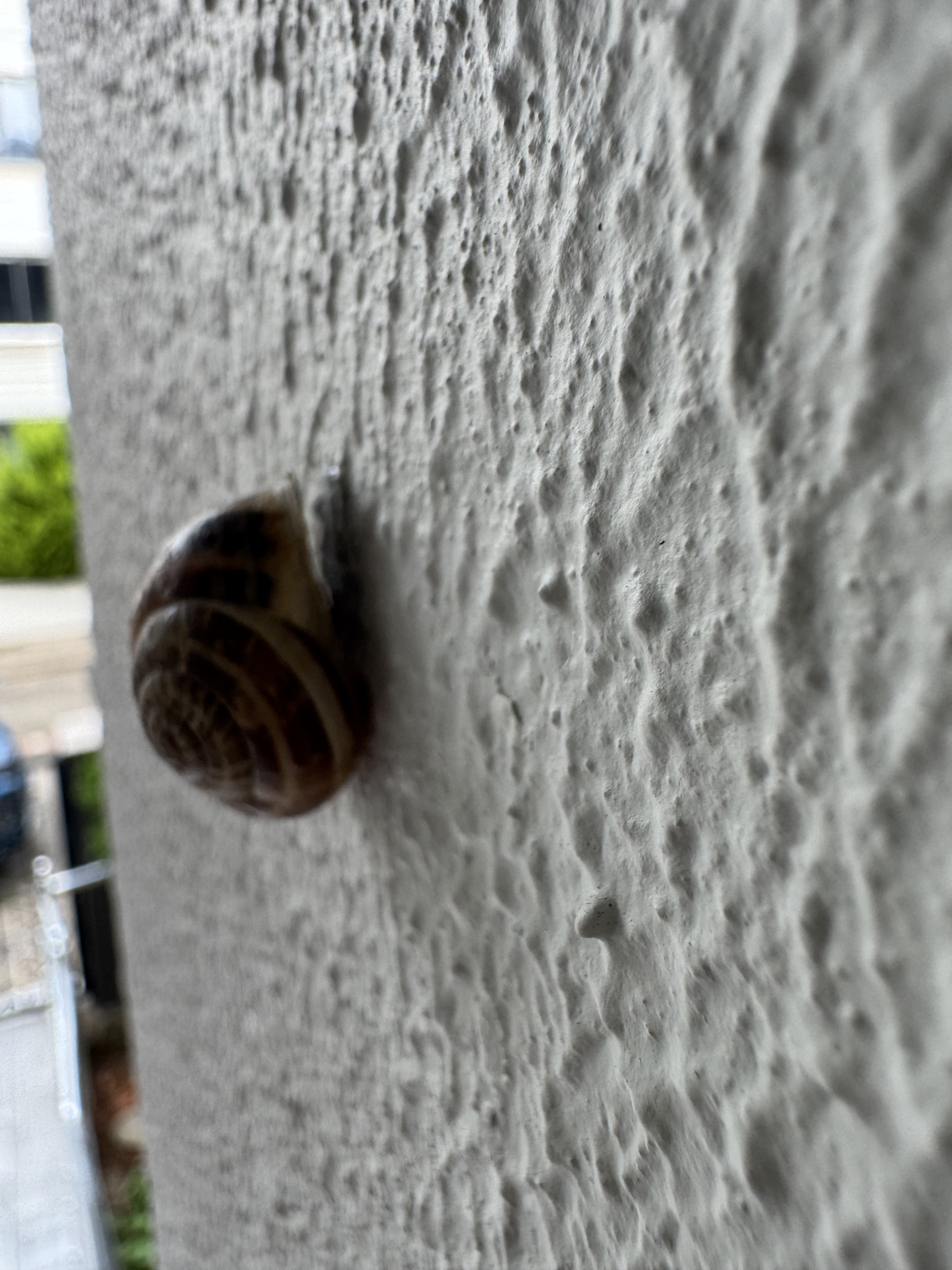 sanat sepet isler tarafından paylaşılan fotoğraf