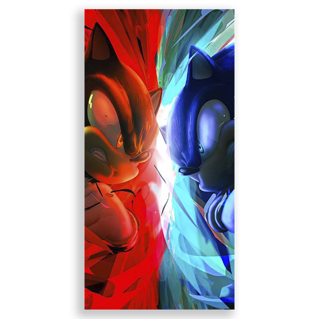 31001573-Sonic