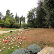 IMG-9527