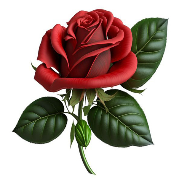 0dfd070c8ef2b30efbe2d54715712a87 Copy.jpg