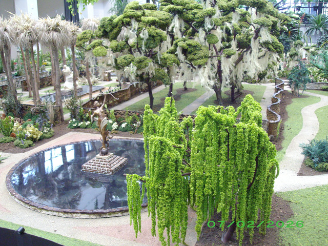 IMGP2757.jpg