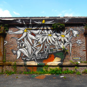 OLYMPUS-DIGITAL-CAMERA