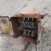 OLYMPUS-DIGITAL-CAMERA