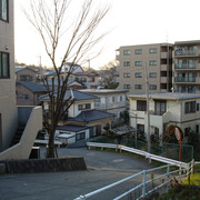 2009-03-16-12