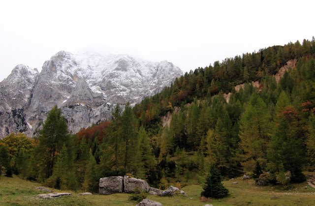 IMG-0234