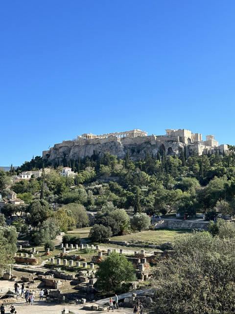 IMG-7337
