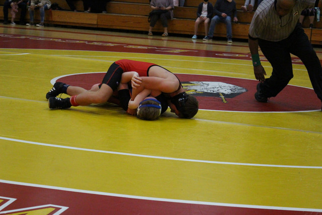 IMG-0225