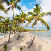 punta-kana-26