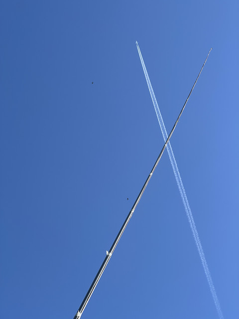 IMG-1608.jpg