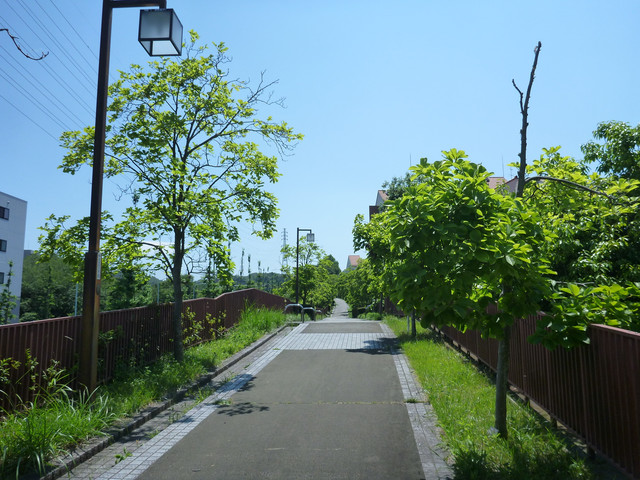 P1320192.jpg