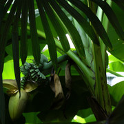 DSC7261