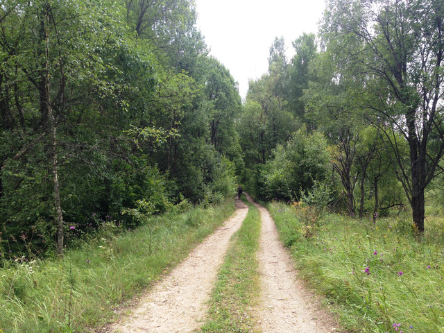 IMG-3991.jpg