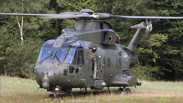Merlin 1.jpg