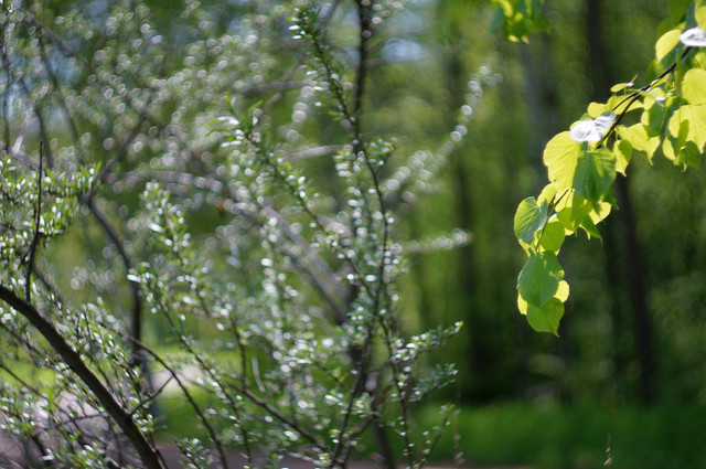 DSC03641-1.jpg