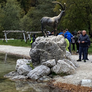 IMG-3152
