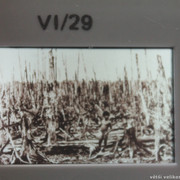IMG-1121