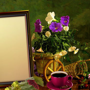 Nature-Stilllife