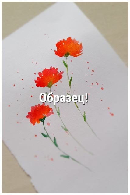 My-Collages-1