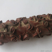 IMG-5066