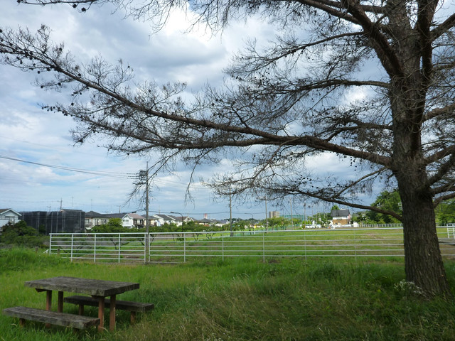 P1320965