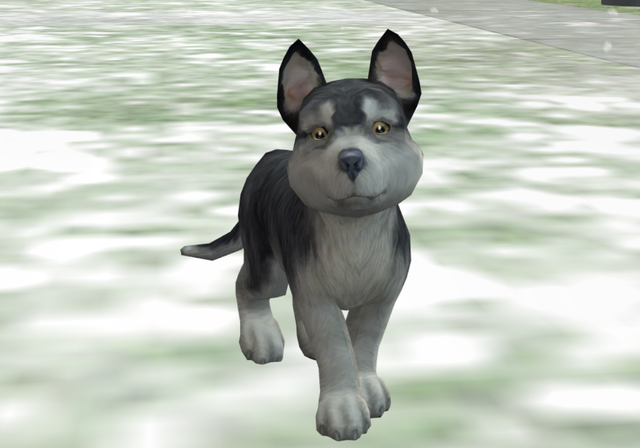 Screenshot-280